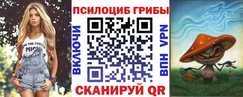 Псилоцибиновые грибы GOLDEN TEACHER  Купить  Коркино 
